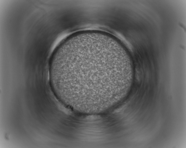 X0000097481368200803141925