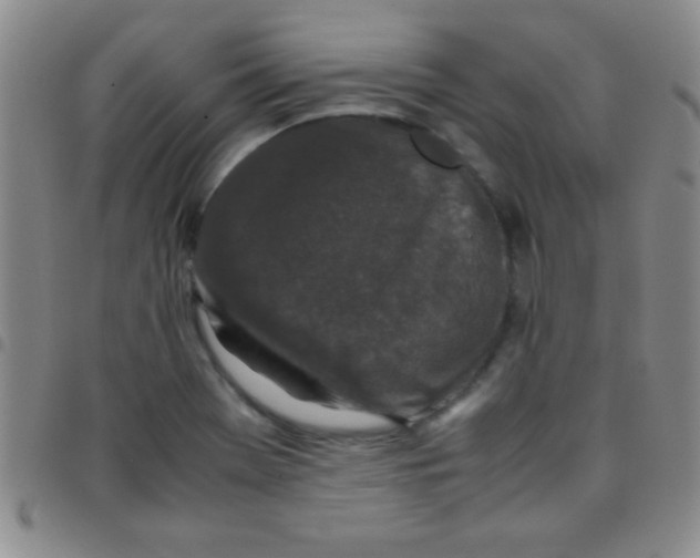 X0000097481369200803141925