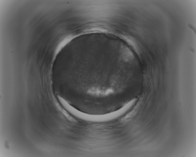 X0000097481373200803141925