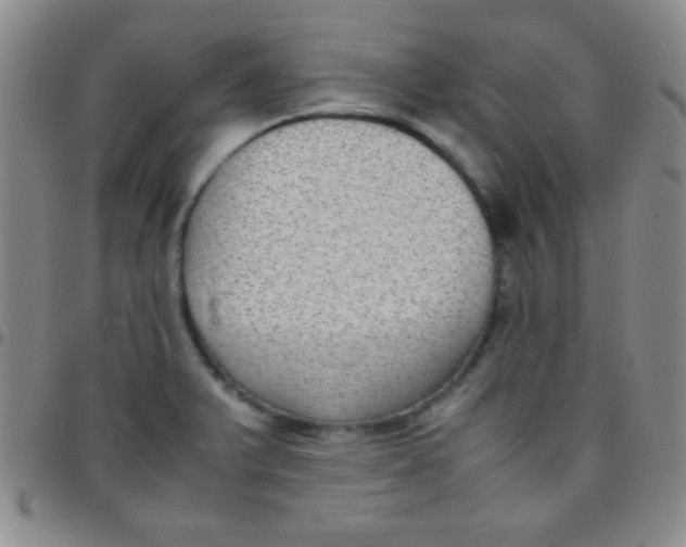 X0000097481375200803141925