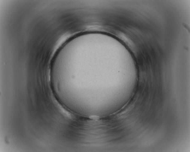 X0000097481376200803141925