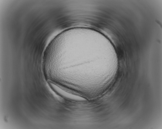 X0000097481379200803141925