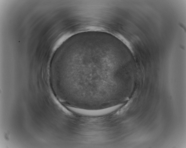 X0000097481381200803141925