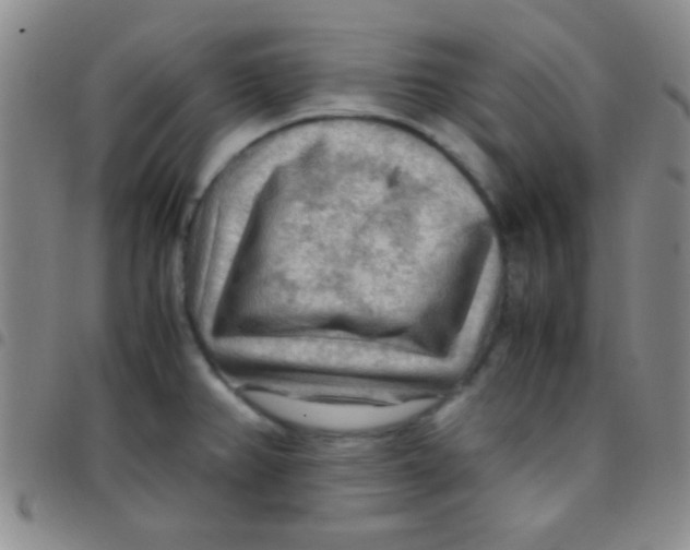 X0000097481382200803141925