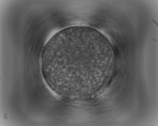 X0000097481383200803141925