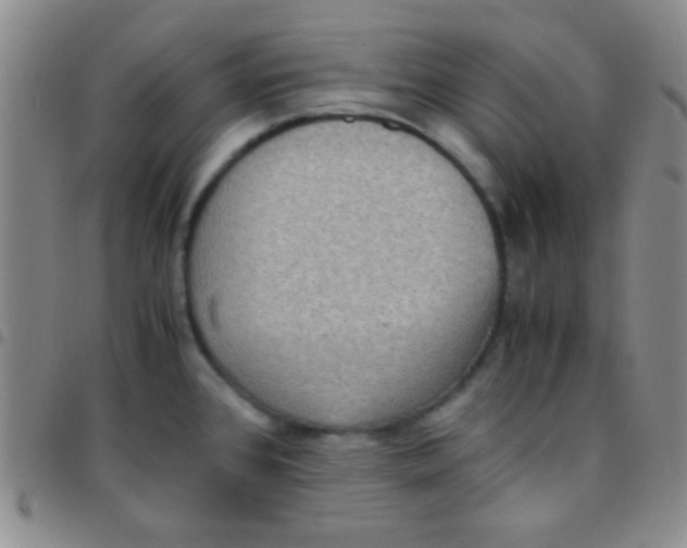 X0000097481384200803141925