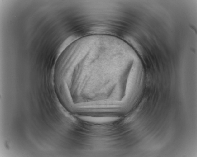 X0000097481386200803141925