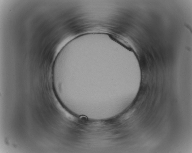 X0000097481387200803141925