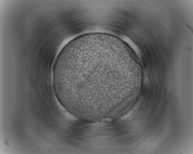 X0000097481388200803141925