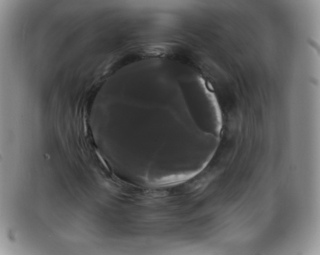 X0000097481394200803141924