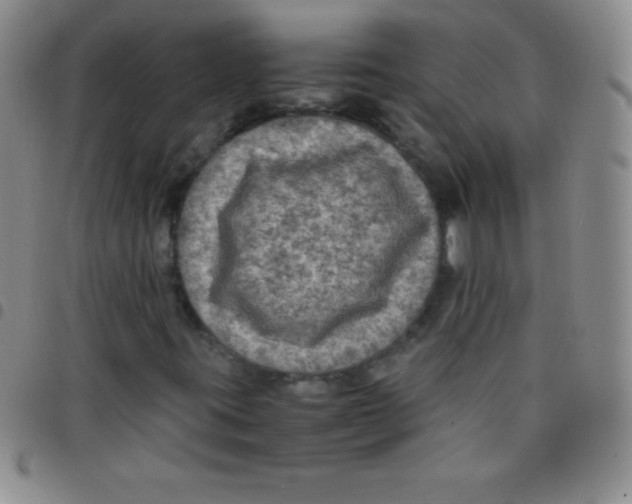 X0000097481395200803141924