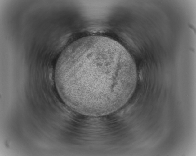 X0000097481396200803141924