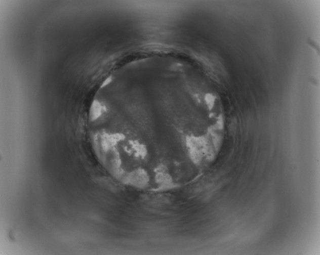 X0000097481397200803141925