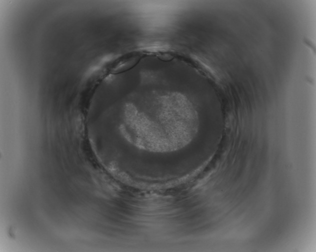 X0000097481398200803141925