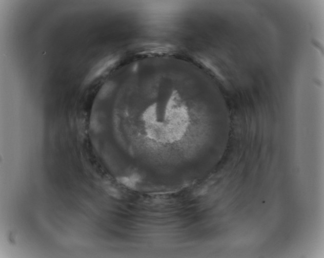 X0000097481399200803141925