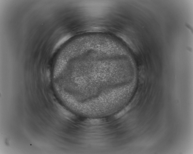 X0000097481402200803141925