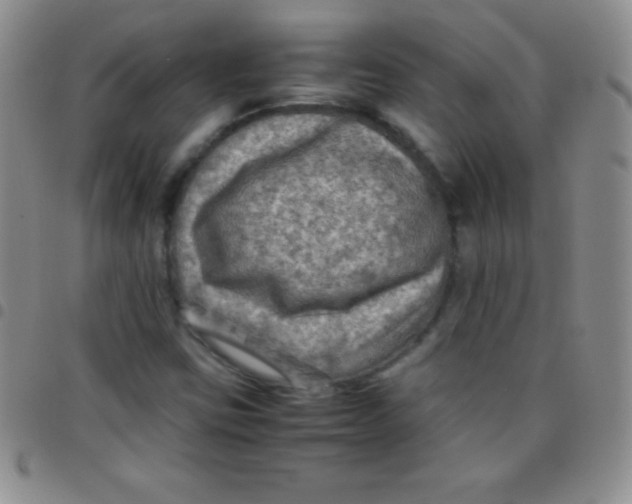 X0000097481403200803141925