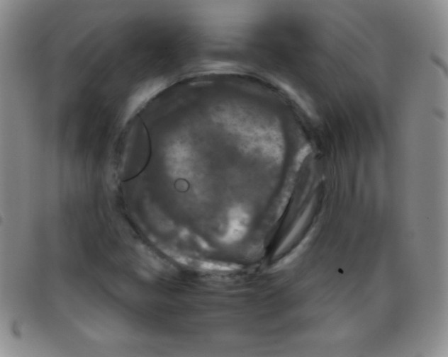 X0000097481405200803141925