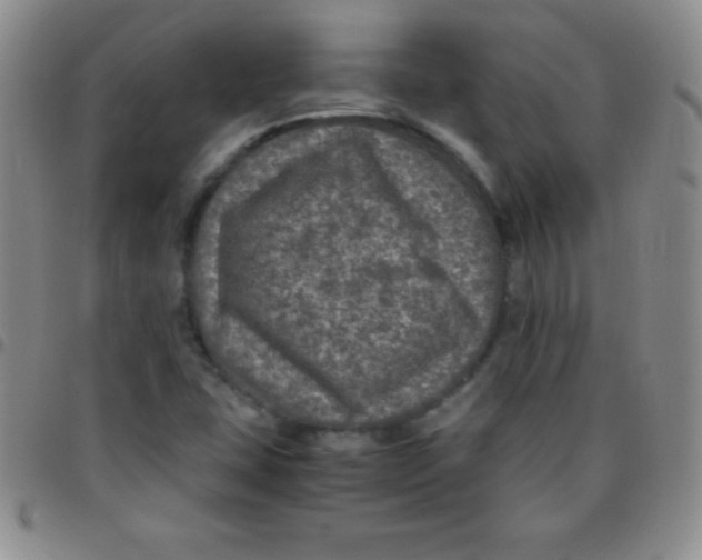 X0000097481407200803141925