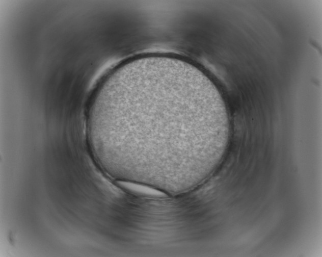 X0000097481408200803141925