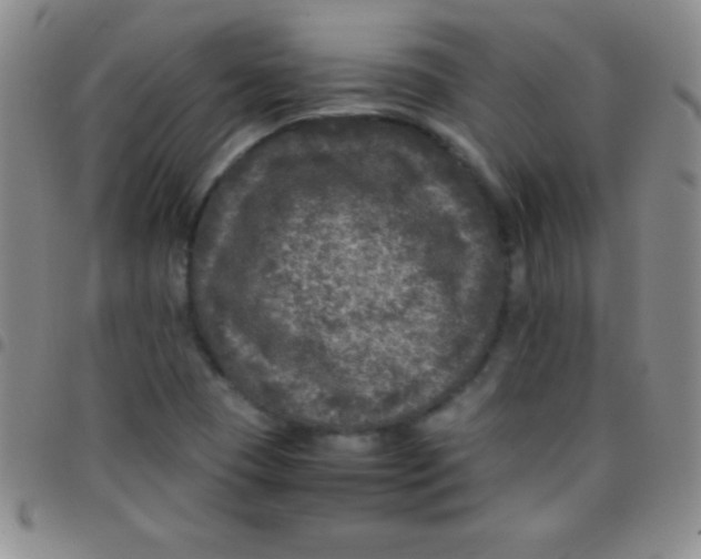 X0000097481409200803141925