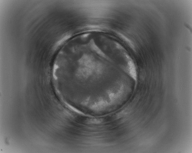 X0000097481411200803141925