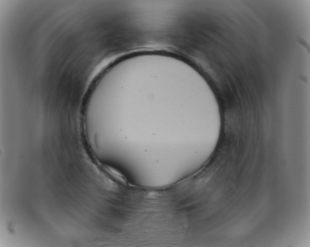 X0000097481412200803141925