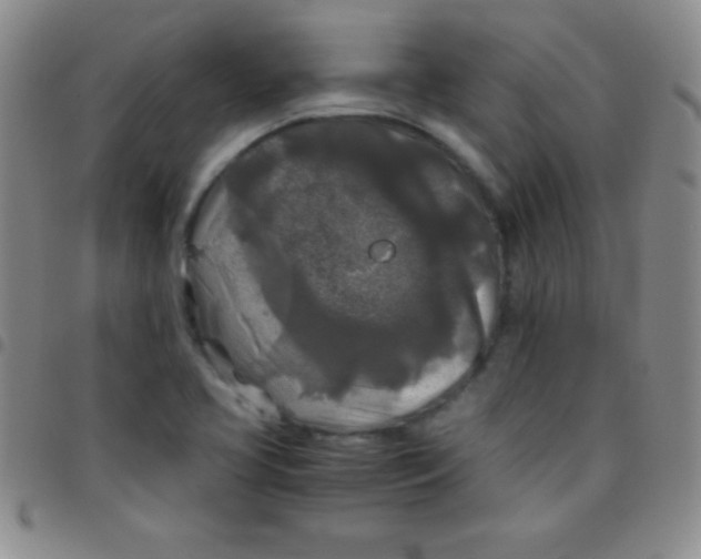 X0000097481413200803141925