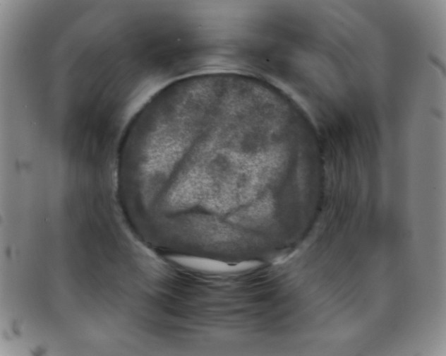 X0000097481415200803141925