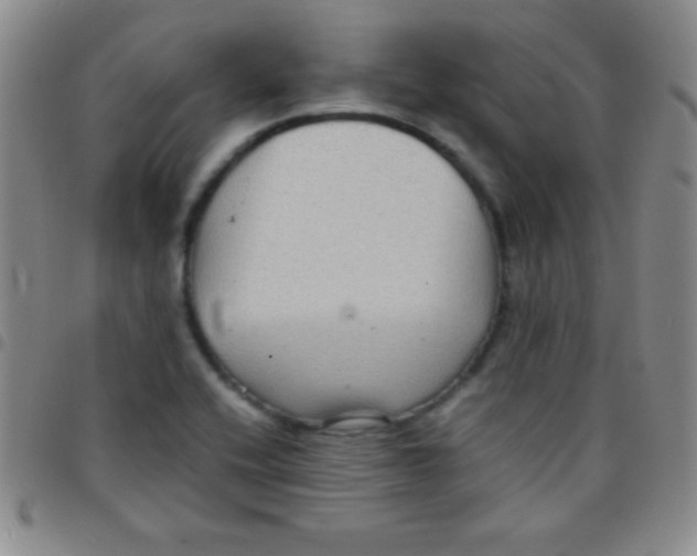 X0000097481416200803141925