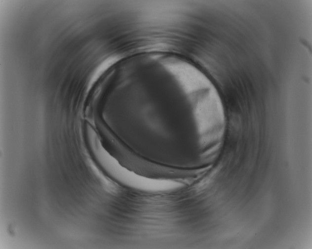 X0000097481418200803141925