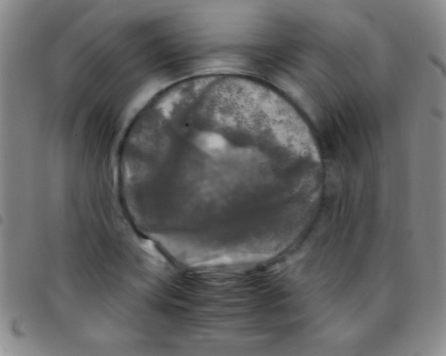 X0000097481419200803141925