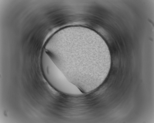 X0000097481420200803141925