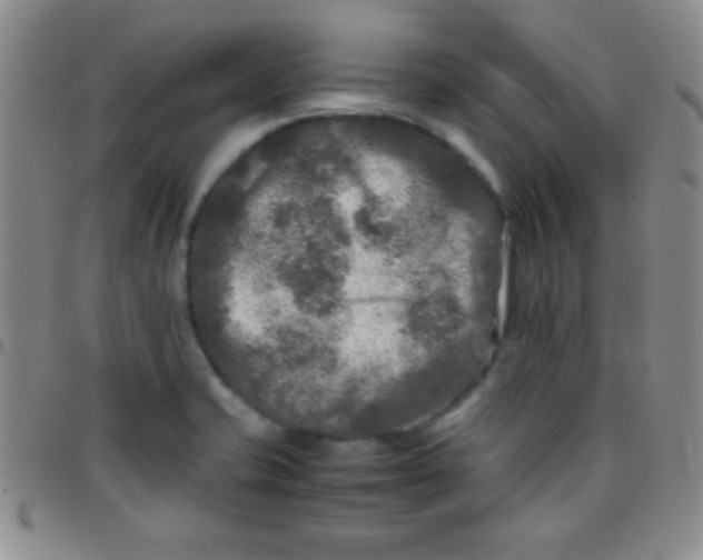 X0000097481421200803141925