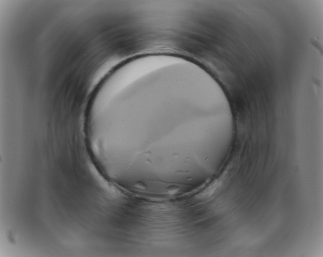 X0000097481422200803141925