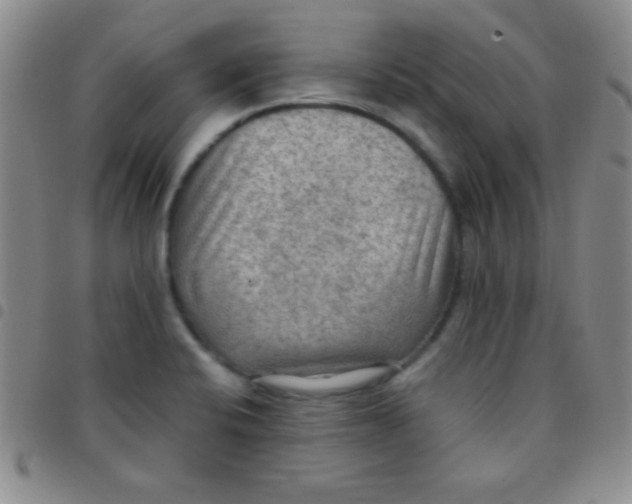 X0000097481424200803141925