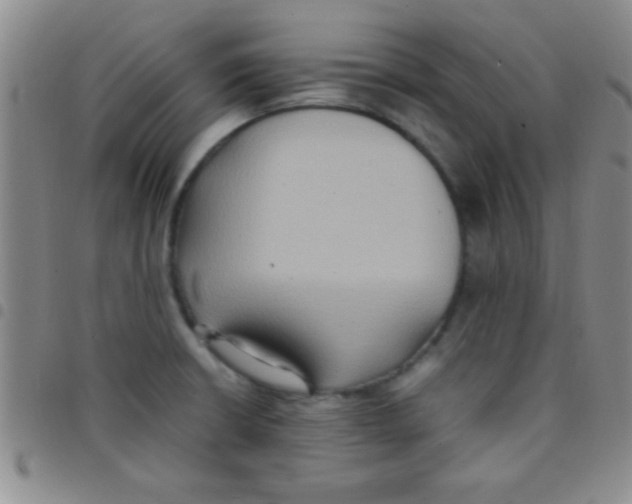 X0000097481426200803141925