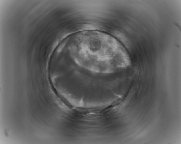 X0000097481427200803141925