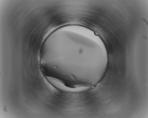 X0000097481428200803141925