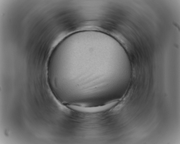 X0000097481430200803141925