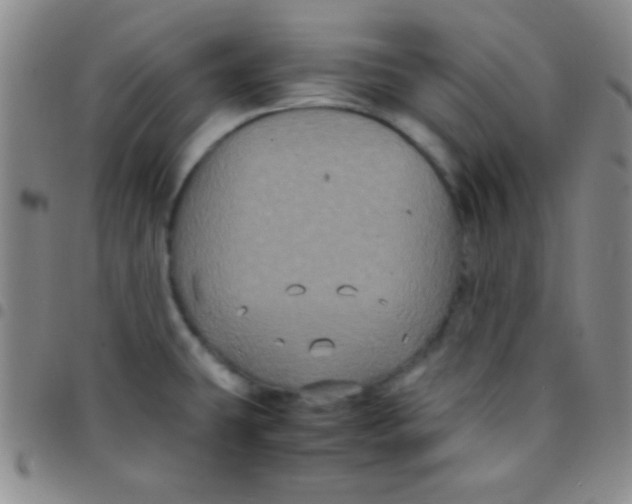 X0000097481431200803141925