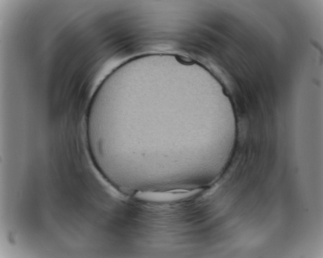 X0000097481432200803141925