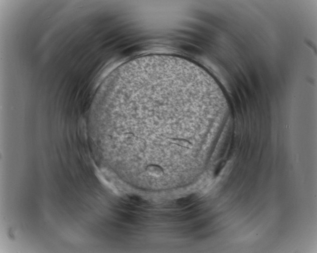 X0000097481433200803141925