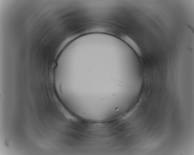 X0000097481436200803141925