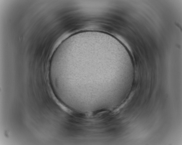 X0000097481437200803141925