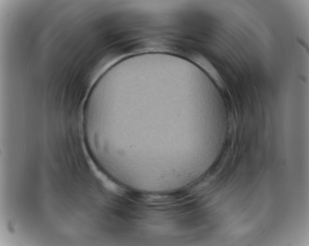 X0000097481439200803141925