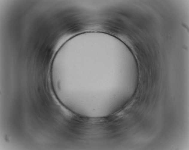 X0000097481440200803141925