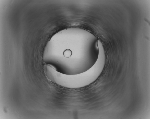 X0000097481441200803141924