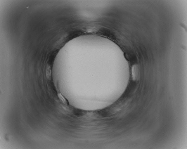 X0000097481443200803141924