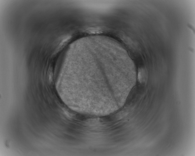 X0000097481444200803141924